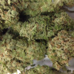 Ghost Train Haze