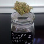 Grape God