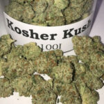 Kosher Kush