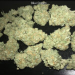 Blue Dream