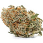 Blue Cheese