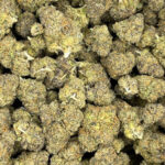 Girl Scout Cookies