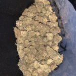 Blue Cherry Gelato