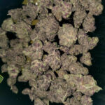 Cherry Runtz