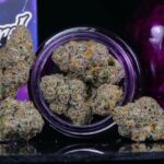 Wizard Trees