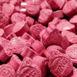 100X Dutch